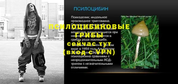 гидропоника Алексеевка