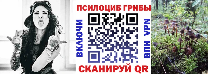 как найти   Тбилисская  Галлюциногенные грибы GOLDEN TEACHER 